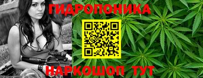 тгк Ставрополь