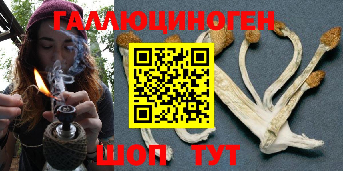 Галлюциногенные грибы Magic Shrooms Нижнекамск